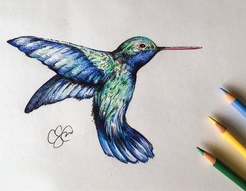 “I draw a lot of birds. This hummingbird was done with prismacolour and a gel pen”