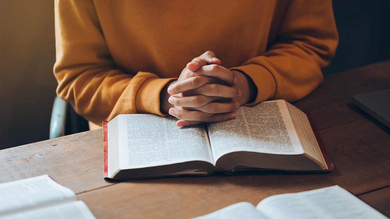 image of a person reading a book