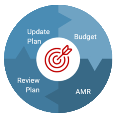 Annual Ministry Review Planning Cycle Diagram, contains of: Update Plan, Budget, Review Plan, AMR
