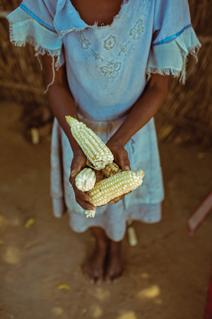 The Canada and Bermuda Tty is partnering with the Malawi Tty on a mother and child health project in the Upper Shire valley. The project will address food security through Foundations for Farming, a method of conservation agriculture also known as Farming God's Way, which has been shown to greatly increase crop yields.