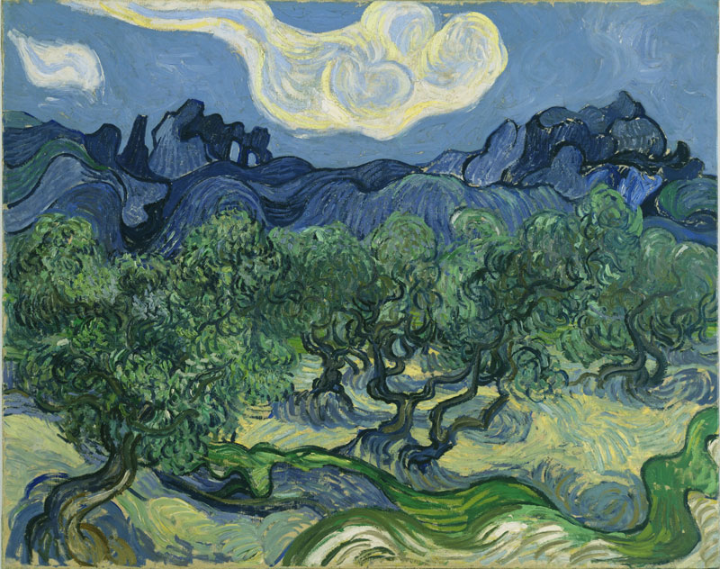 Vincent van Gogh, The Olive Trees