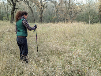 Katherine Nichols conducts field work at the Brandon residential school site