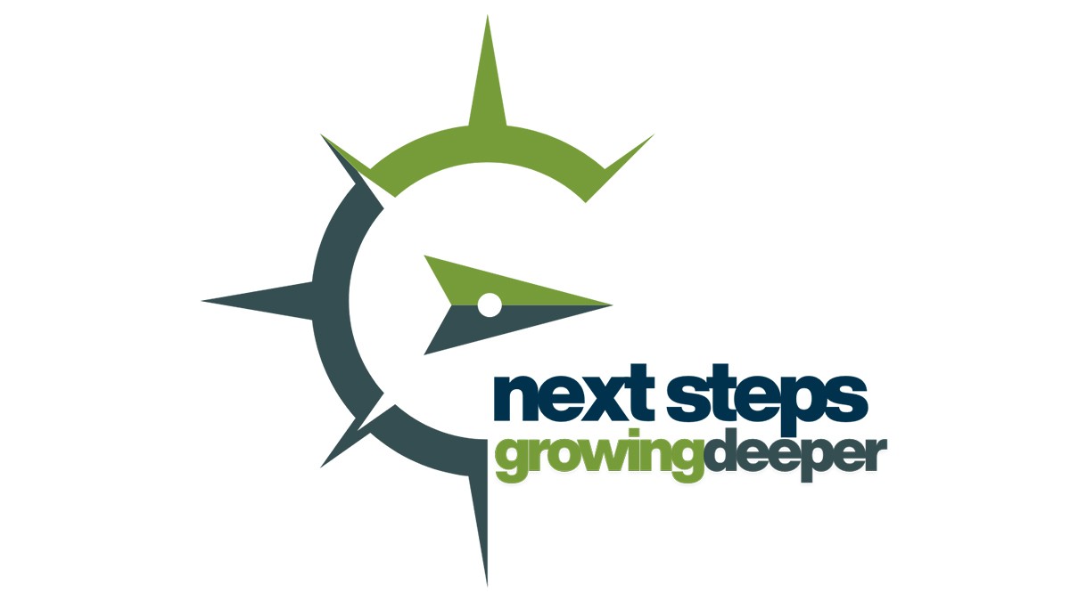 Next Steps Menu Options