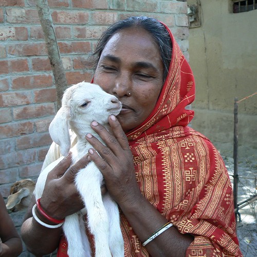 A woman lovingly holds a baby goat, highlighting the bond between humans and animals in a serene outdoor setting.