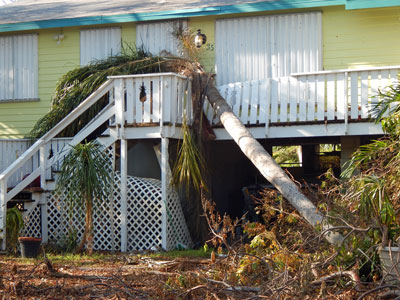 A Miami home is damaged by a tree