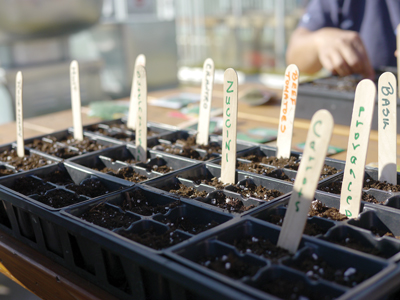 Photo of gardening workshop