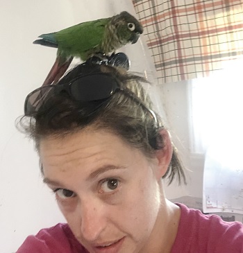 A bird landed on Amanda's head