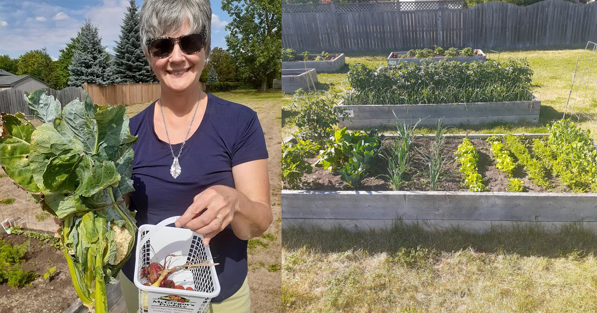 Mjr Catherine Brown-Ratcliffe harvests produce from Belleville Citadel’s community garden