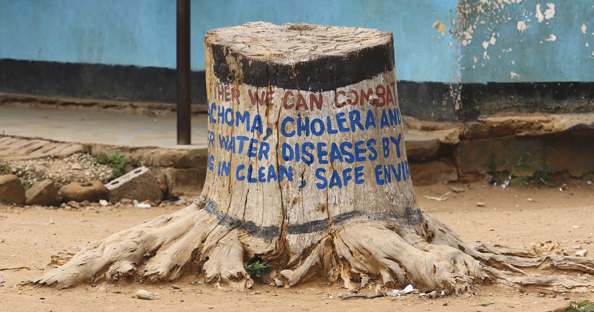 Photo of a tree stump painted with an environmental message