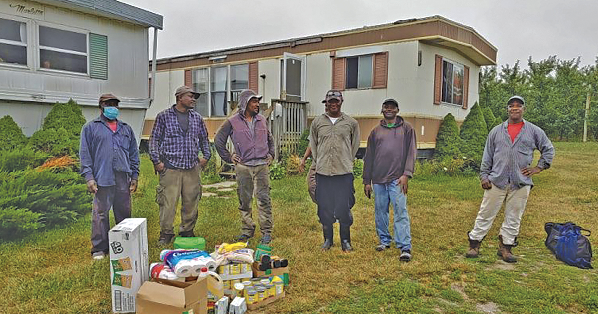 A group of migrant workers stands with a pile of groceries