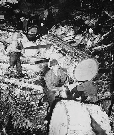 Japanese Canadian internees at work