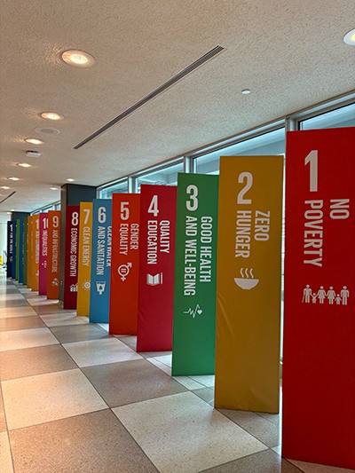 The 17 UN Sustainable Development Goals