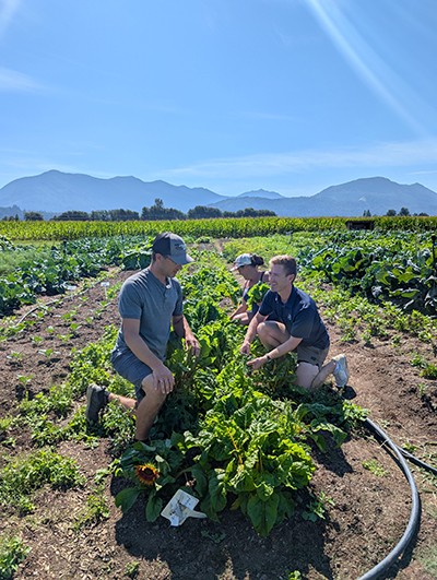 Joe Massie, Tania Toth and Josh Draheim in a field