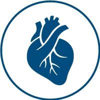 Heart clipart ICON