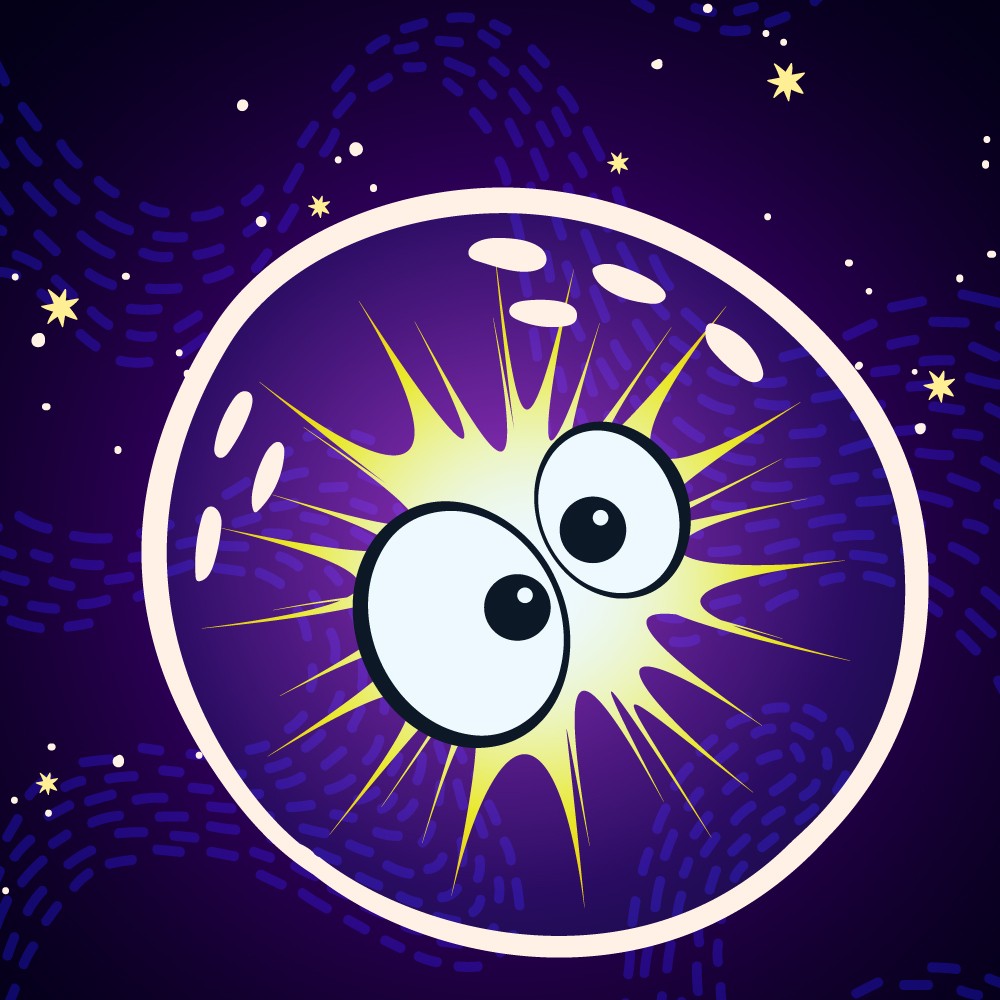 SPARK / PETITE ÉTINCELLE 2025