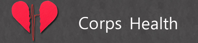 Corps Health Banner Corps Health banner