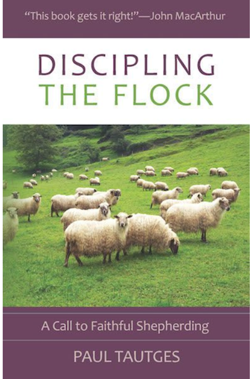Discipling the Flock cover Discipling the Flock
