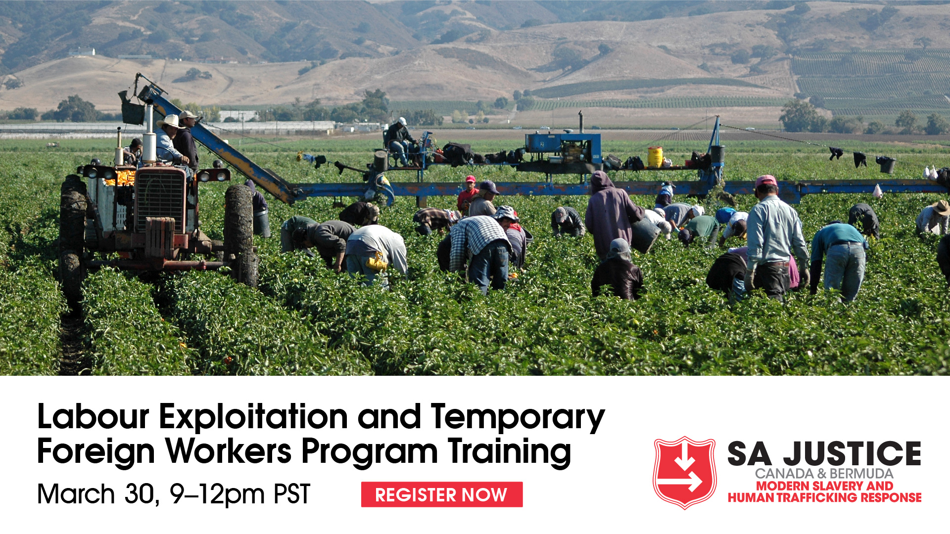 Temporary Foreign Workers Program Training twitter