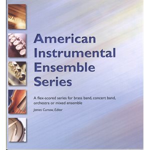 American Instrumental Ensemble