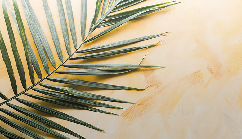 Photo by Brooke Lark on Unsplash