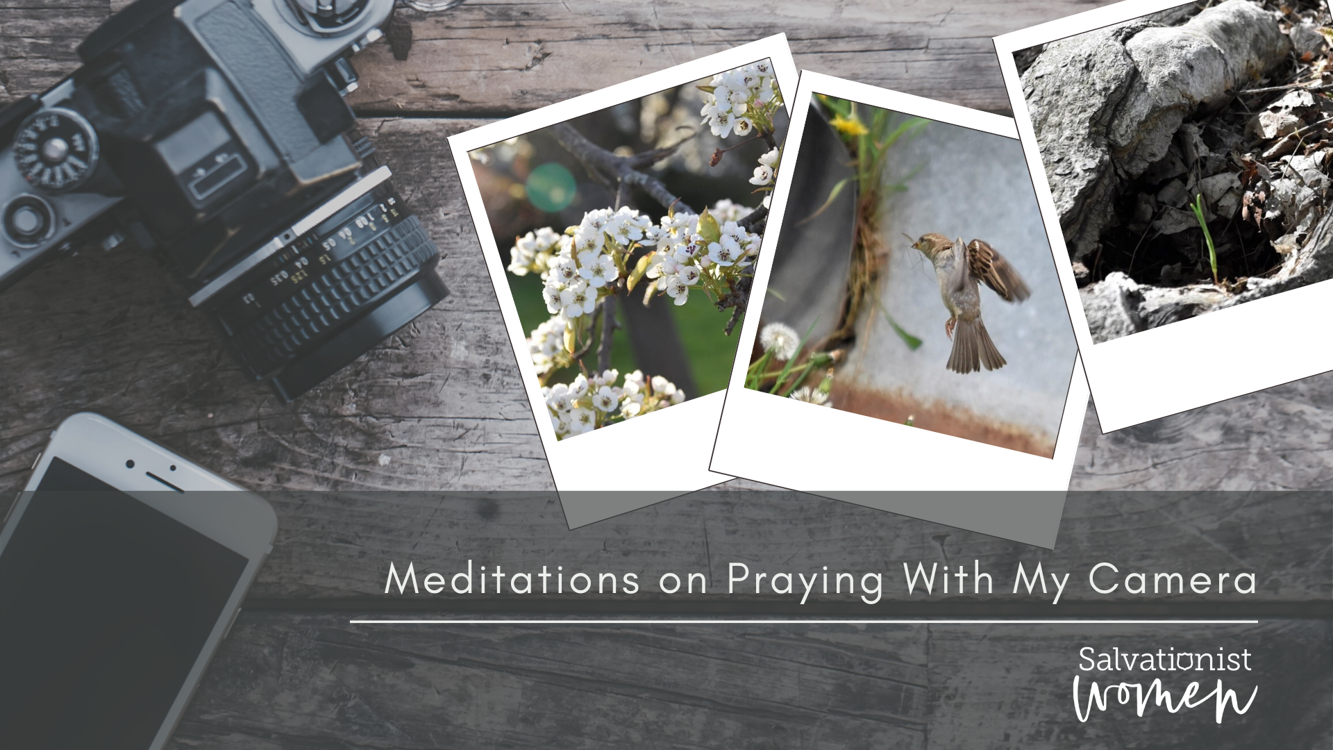 Barb's Story: Praying with my Camera