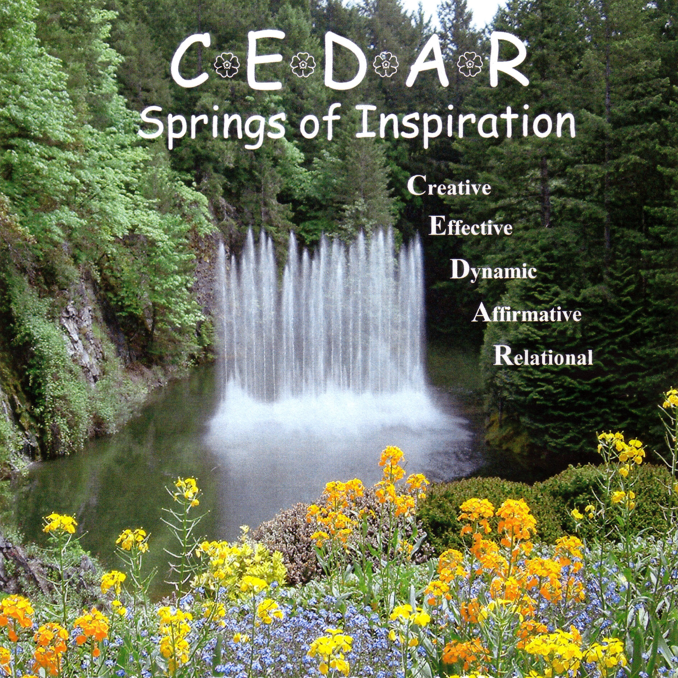 Cedar Springs of Inspiration 2004