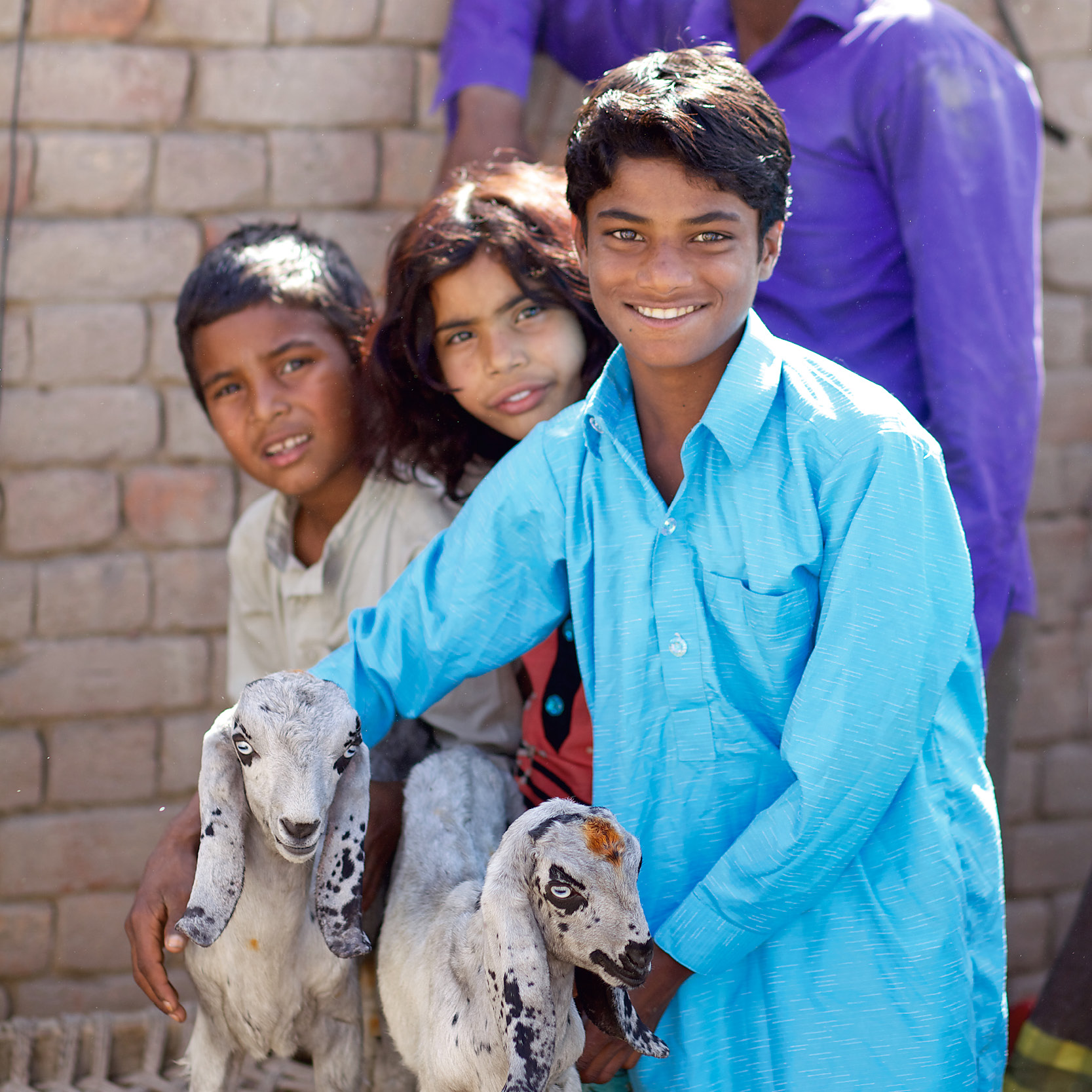 Photo of siblings in Pakistan standing with goats